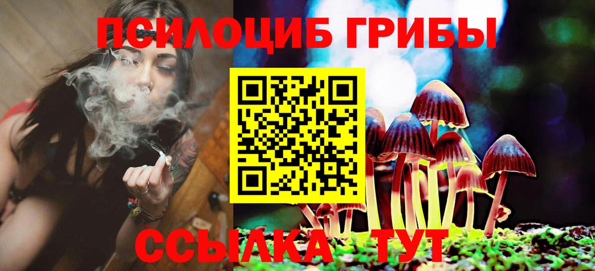 Галлюциногенные грибы мицелий Каменка