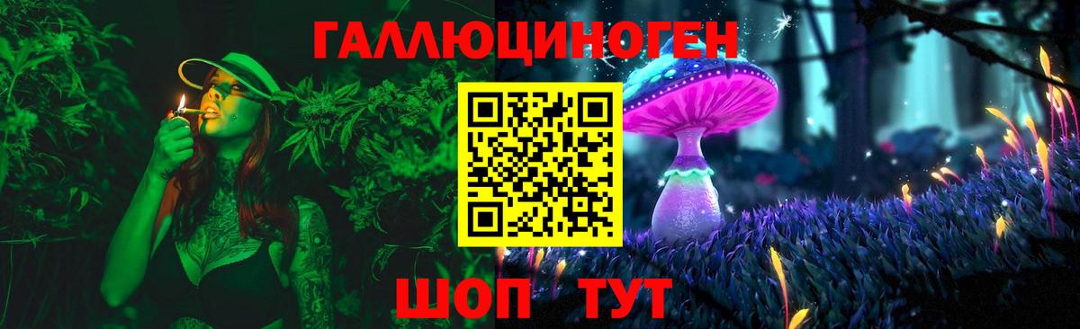 Каменка  Псилоцибиновые грибы ЛСД  Вход с VPN 